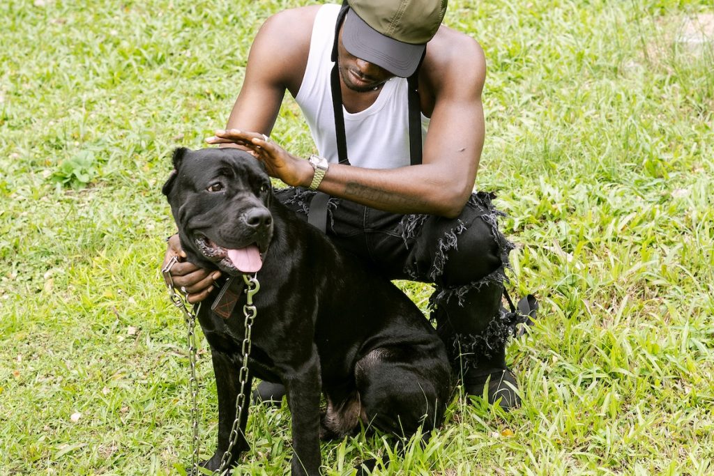Man petting his Dog