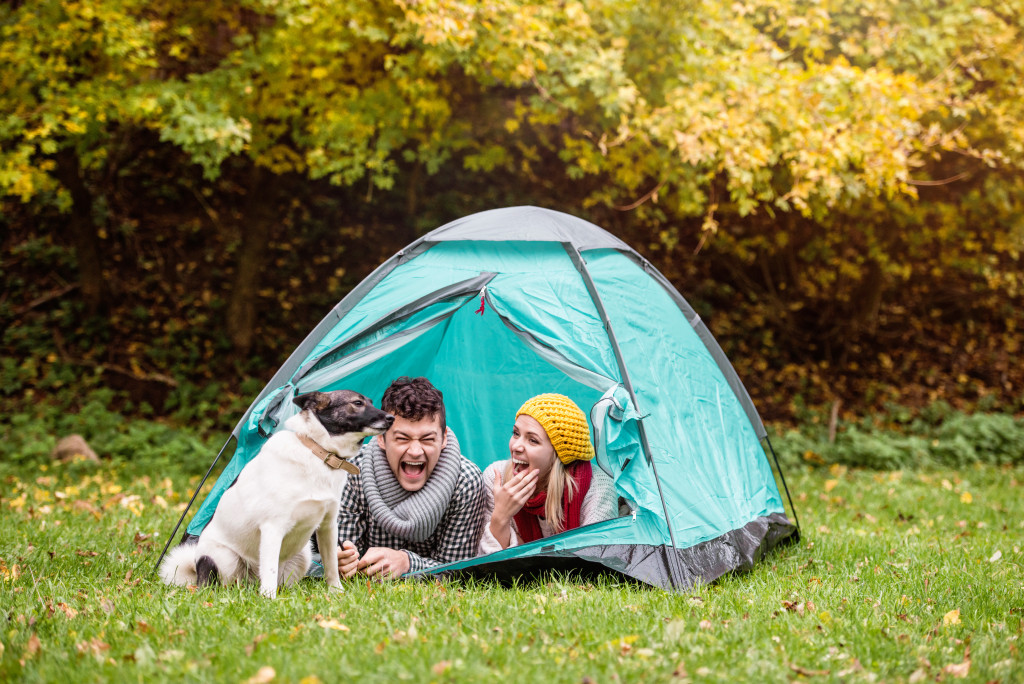 A couple camping with their dog